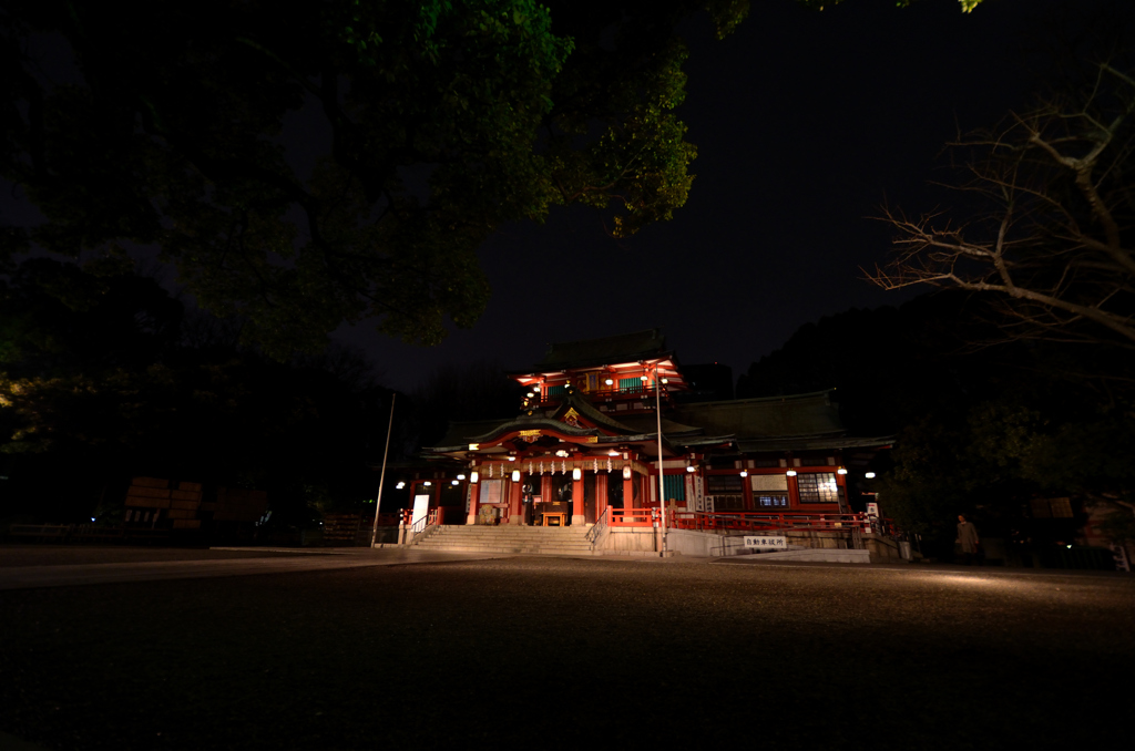 夜の富岡八幡宮本堂