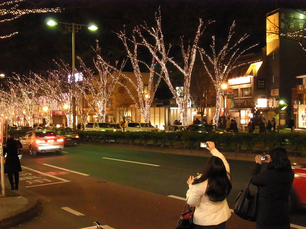 表参道イルミネーション2010