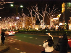 表参道イルミネーション2010