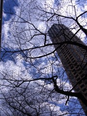 空