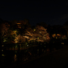 椿山荘 夜桜ライトアップ