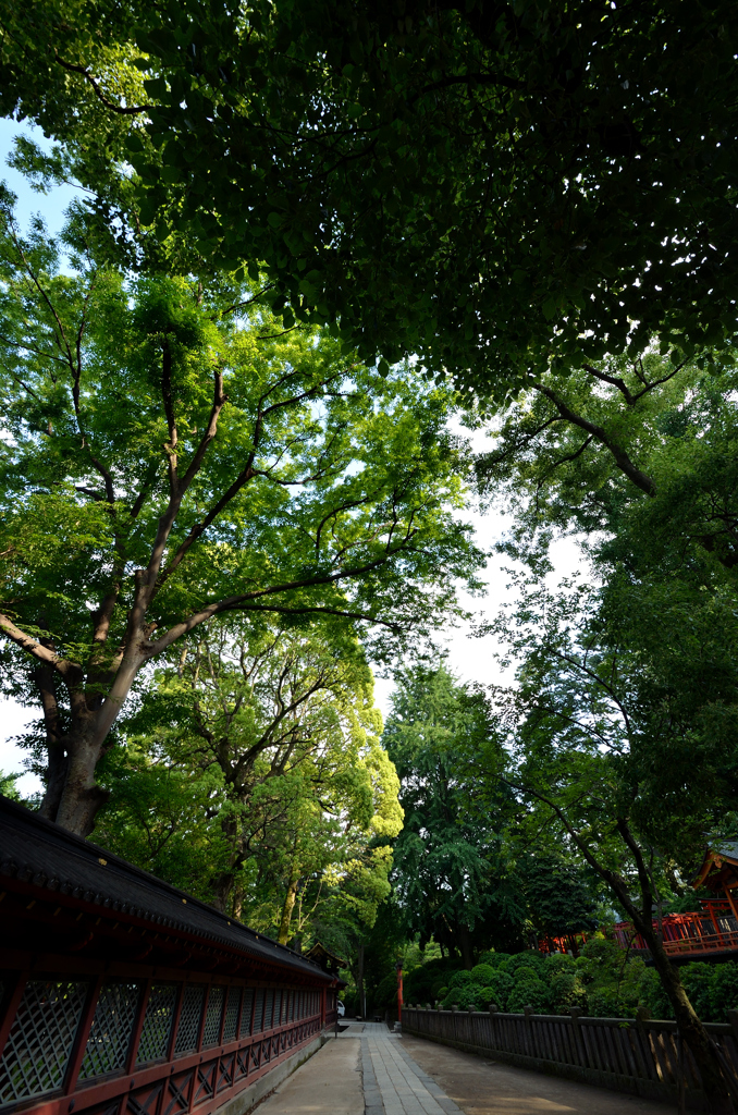 根津神社　境内