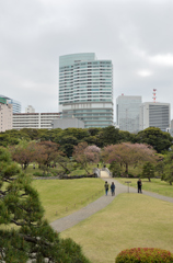浜離宮庭園