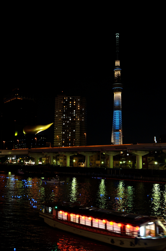 東京ホタル2012
