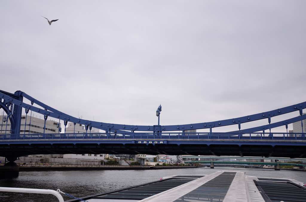 隅田川水上バス遊覧　－清州橋－