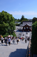 鶴岡八幡宮