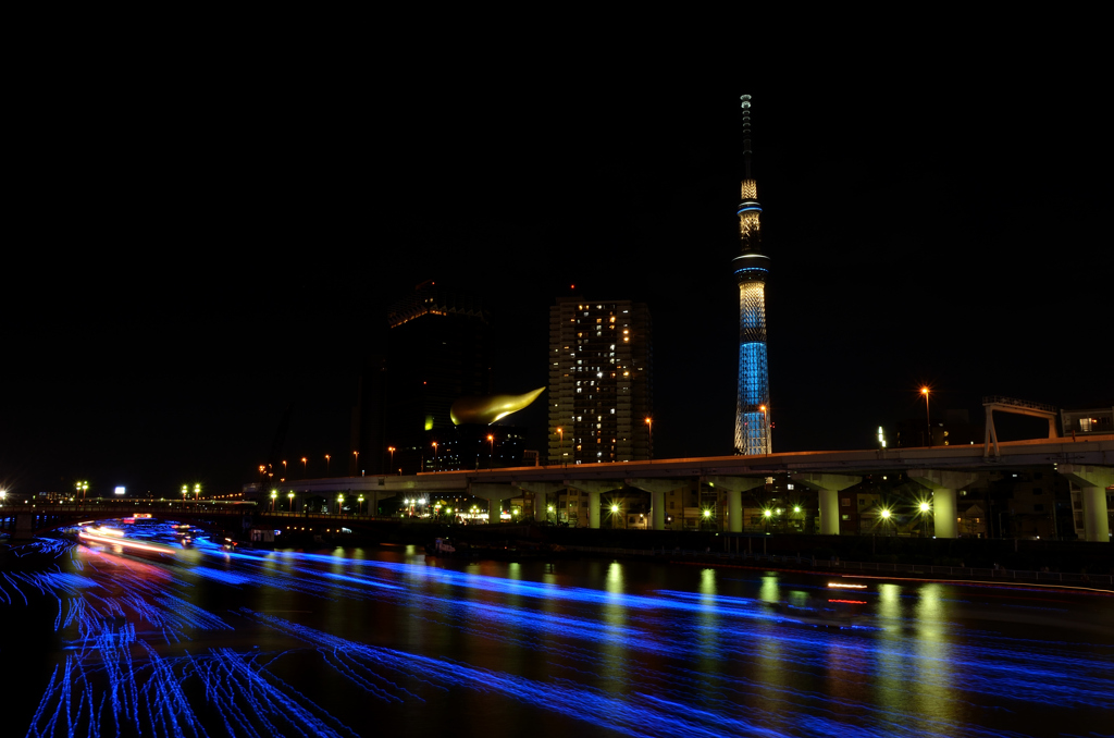 東京ホタル2012
