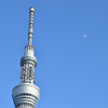 東京スカイツリーと月