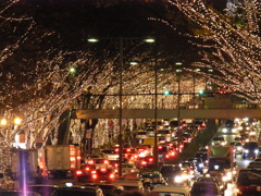 表参道イルミネーション2010
