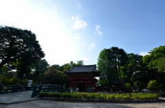 根津神社　境内