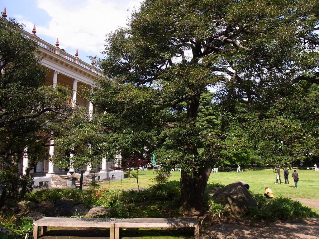 旧岩崎邸庭園　庭園