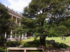 旧岩崎邸庭園　庭園