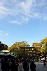 明治神宮