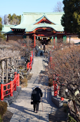亀戸天神