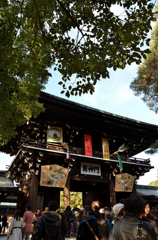 明治神宮