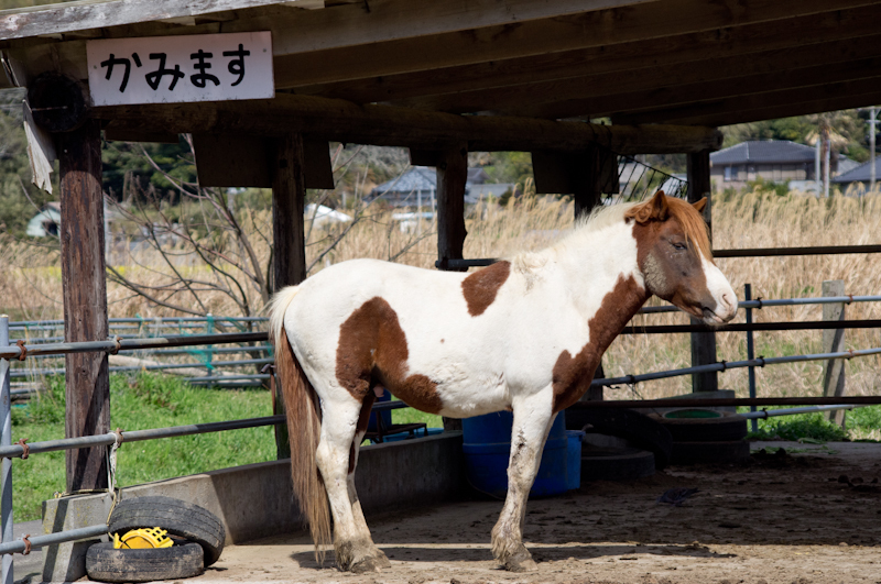 何だよ