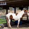 何だよ