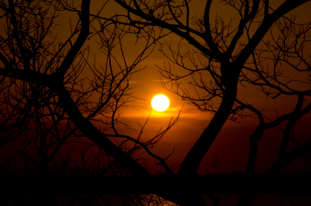 夕景