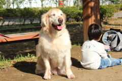 きゃぴ