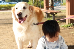 へへ