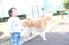 おそらはおっきい