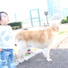 おそらはおっきい