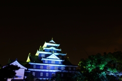 青　岡山城02