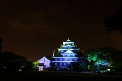 青　岡山城01