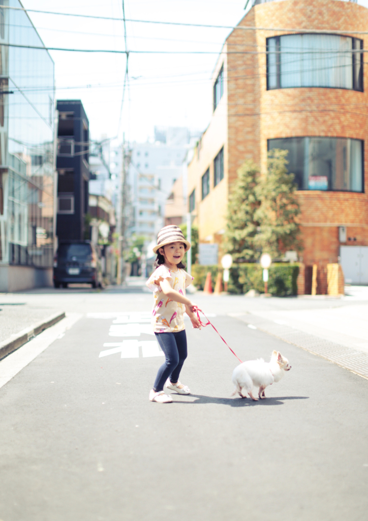 晴れの日。