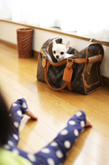 もうちょっと撫でて下さいよ