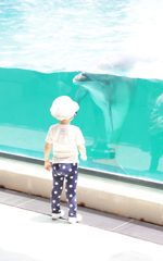 イルカとの遭遇