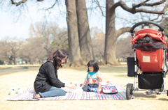 Picnic