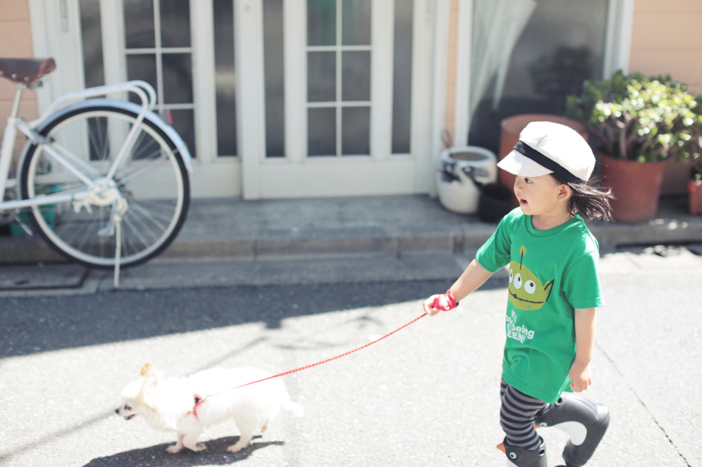 はじめての犬の散歩。