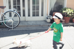 はじめての犬の散歩。