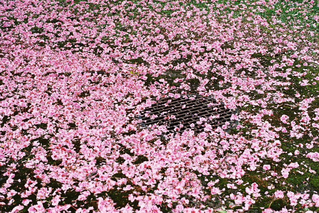 積もる