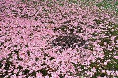 積もる