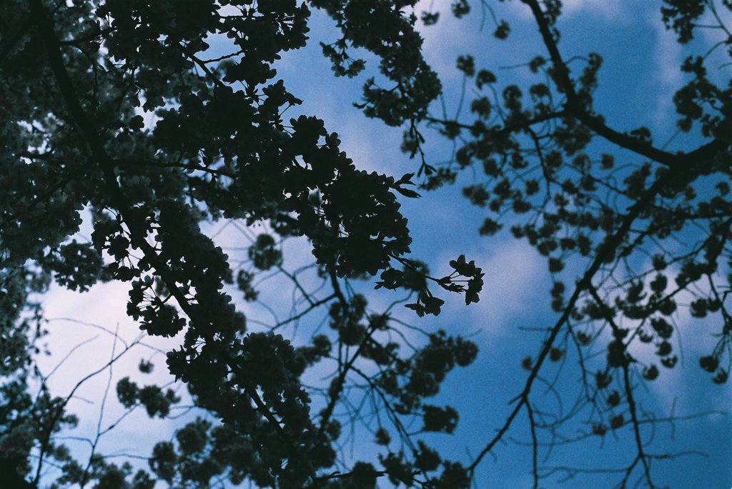 空に落ちる