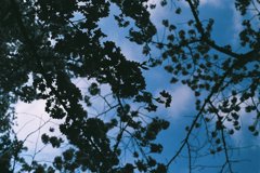 空に落ちる