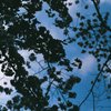 空に落ちる