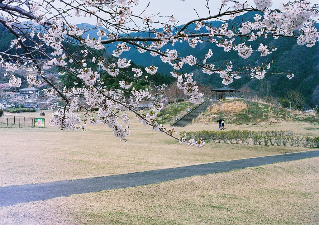 小人の夢