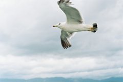 雲