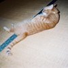 フラッシュ！！