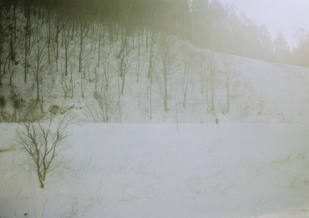 暖雪