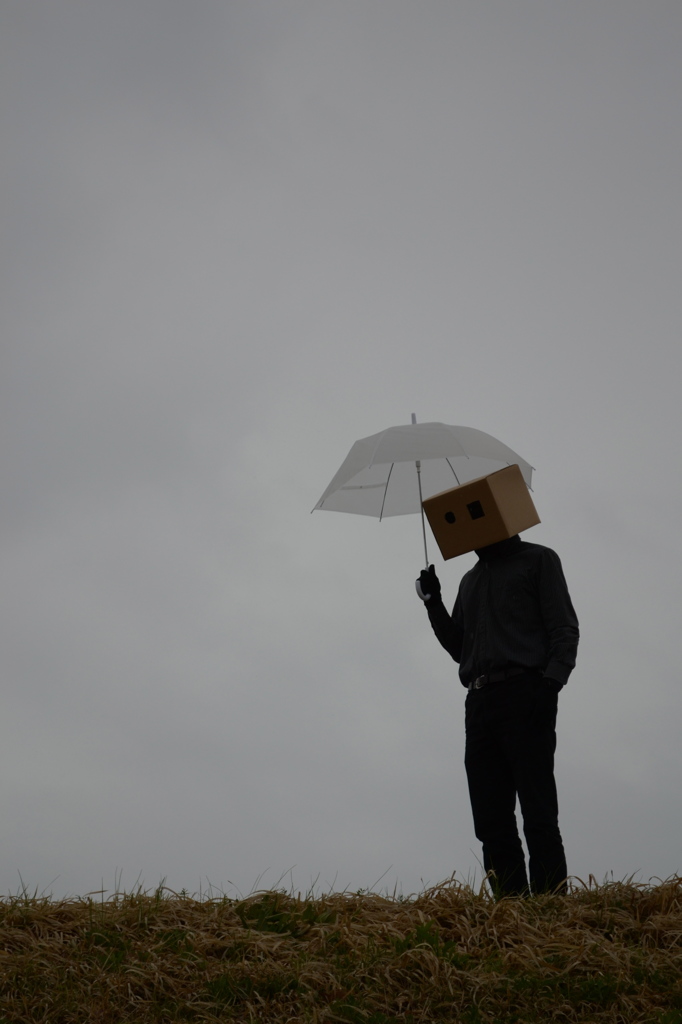 雨