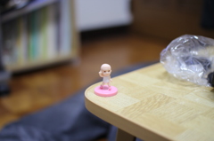 単焦点レンズで初撮影してみました＾＾その③