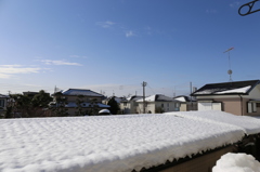 大荒れ天気の翌朝・・・