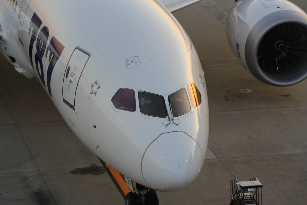 B787