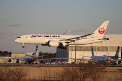 ＮＲＴ＠B787（JAL）