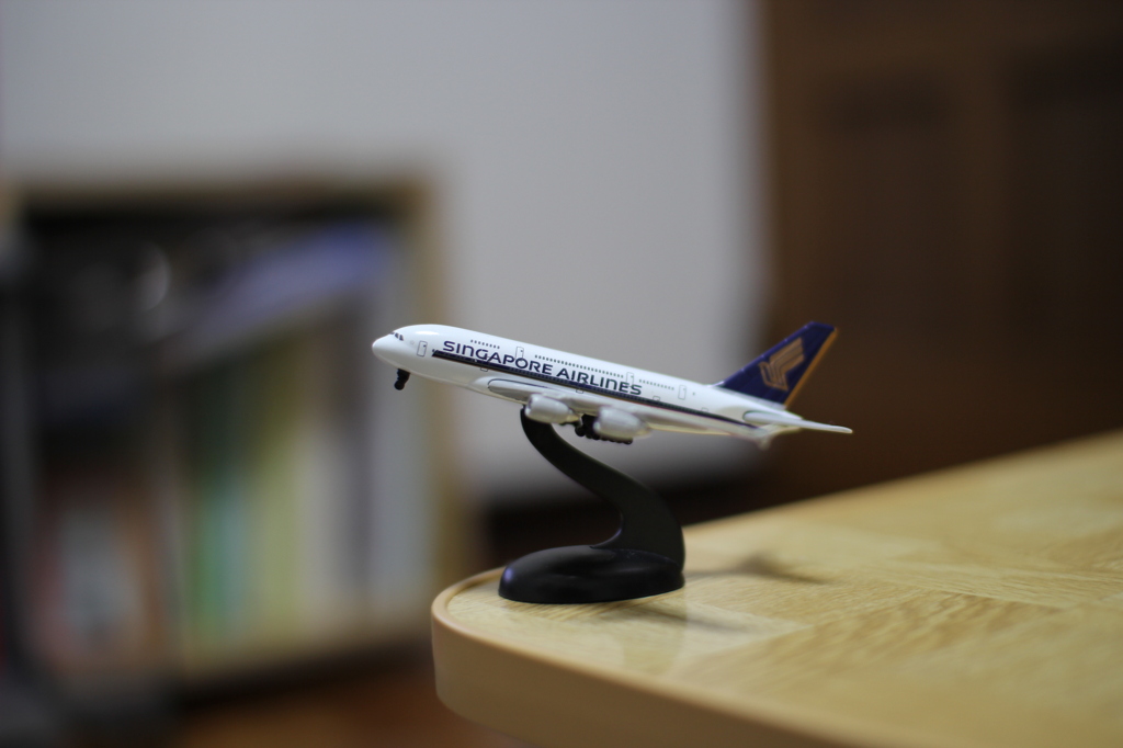 単焦点レンズで初撮影してみました＾＾その②