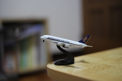 単焦点レンズで初撮影してみました＾＾その②